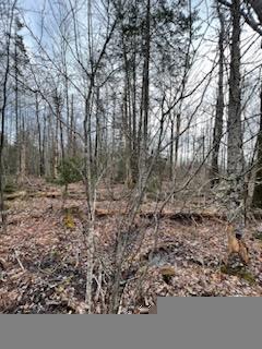 R4 Lot 187 Cape Jellison Road Stockton Springs ME 04981