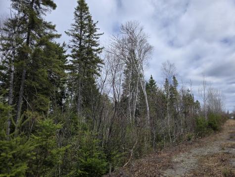 M31-4A Off Gendreau Road Madawaska ME 04756