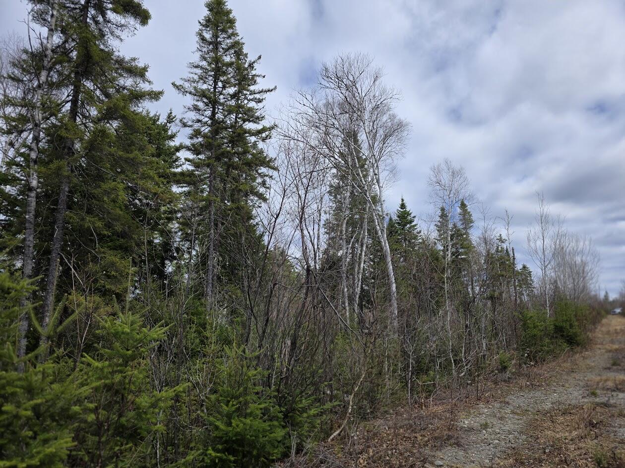 M31-4A Off Gendreau Road Madawaska ME 04756