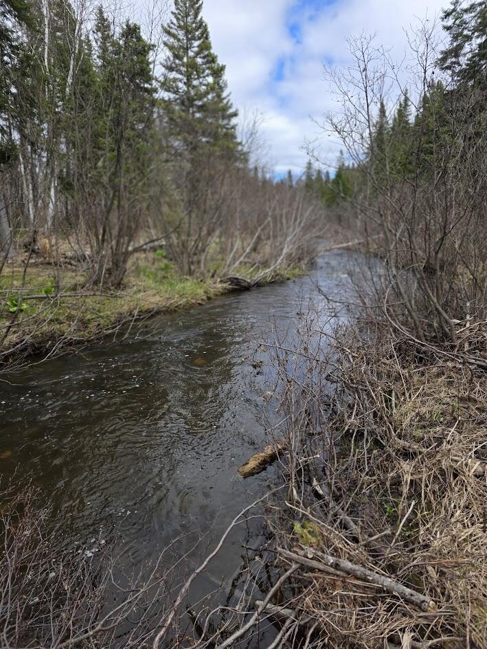 M31-4A Off Gendreau Road Madawaska ME 04756