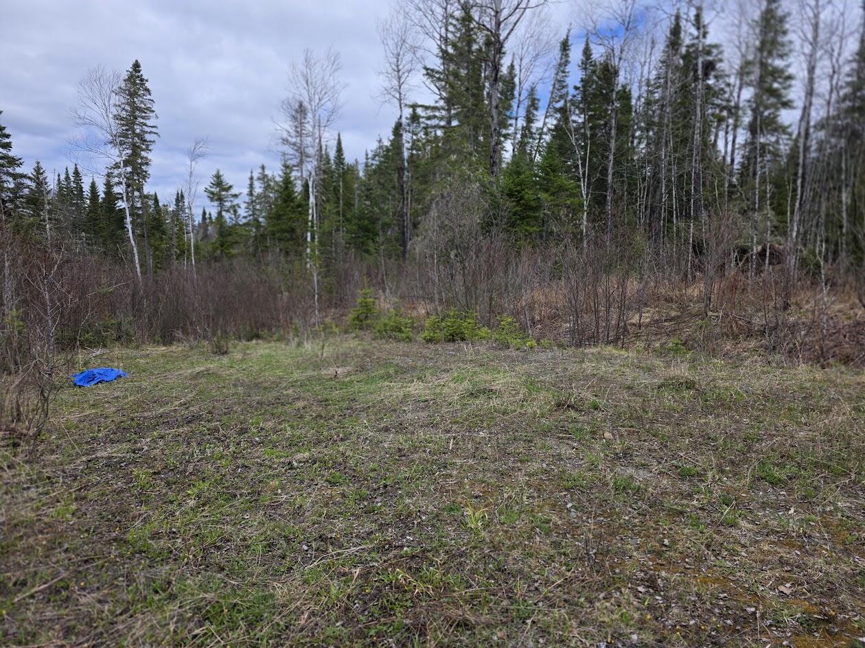 M31-4A Off Gendreau Road Madawaska ME 04756