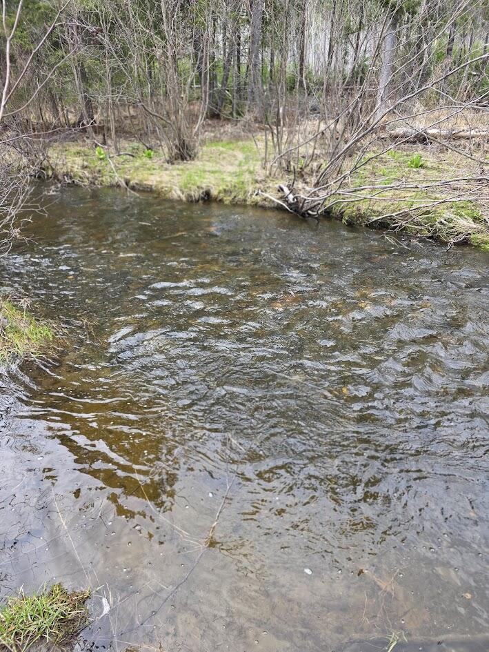 M31-4A Off Gendreau Road Madawaska ME 04756