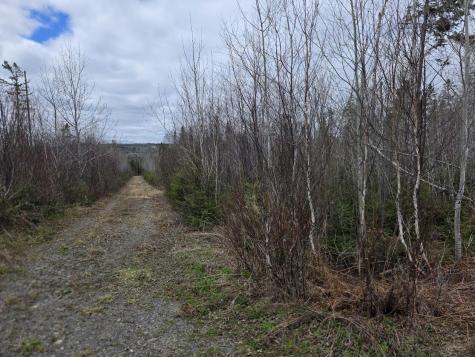 M31-4A Off Gendreau Road Madawaska ME 04756