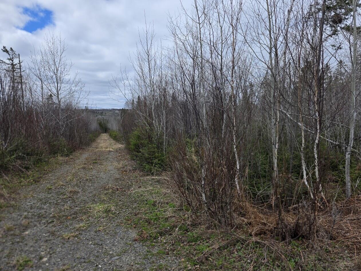 M31-4A Off Gendreau Road Madawaska ME 04756