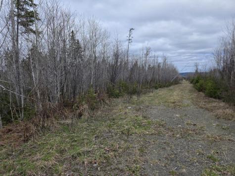M31-4A Off Gendreau Road Madawaska ME 04756