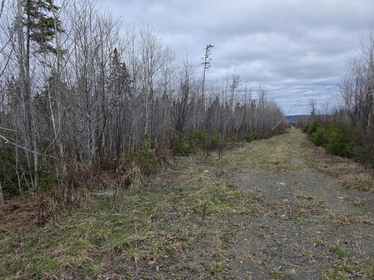 M31-4A Off Gendreau Road Madawaska ME 04756