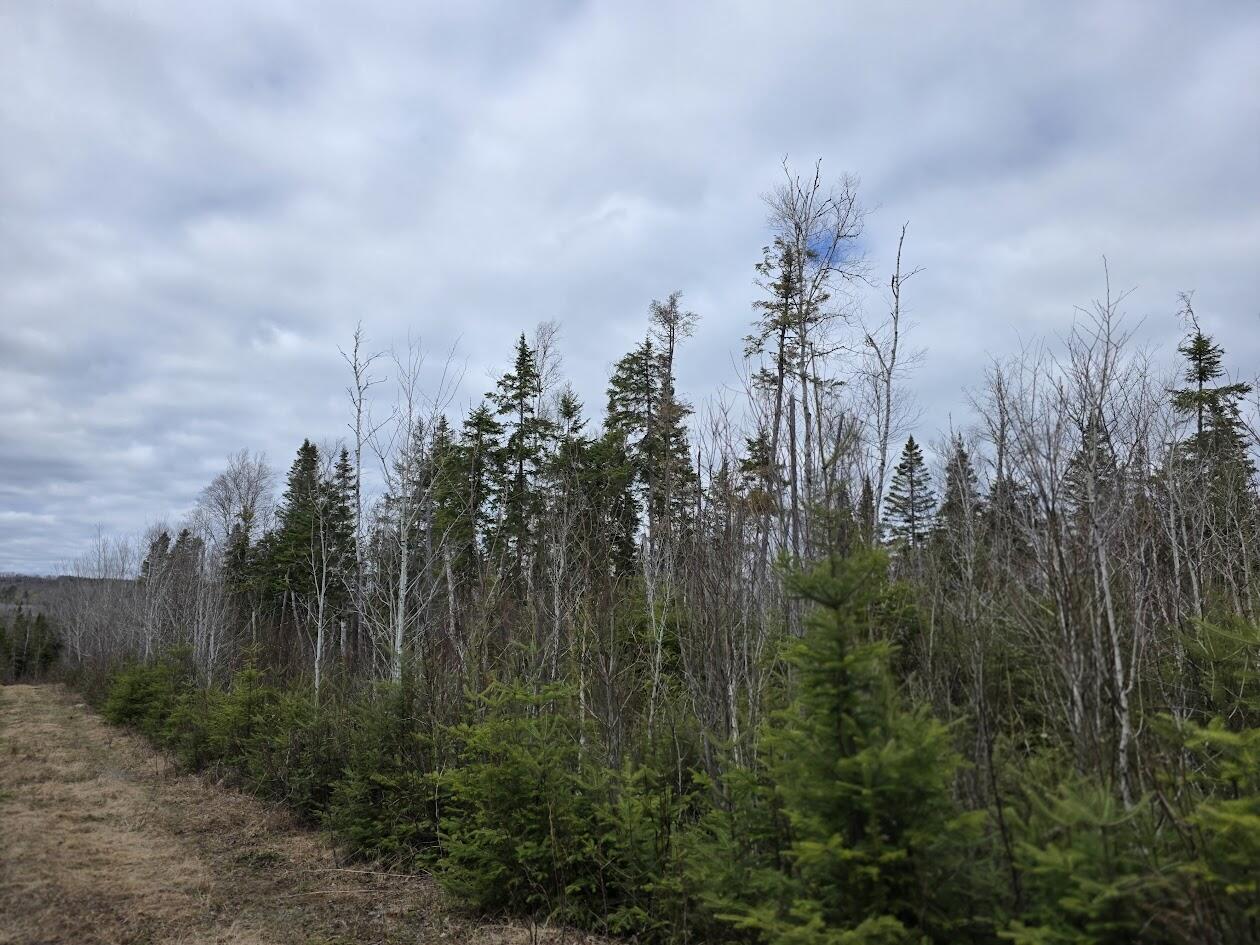 M31-4A Off Gendreau Road Madawaska ME 04756