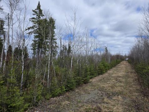 M31-4A Off Gendreau Road Madawaska ME 04756