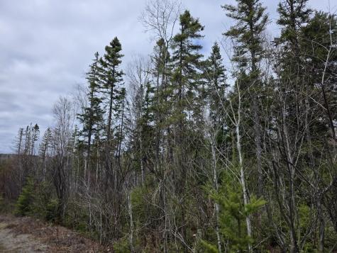 M31-4A Off Gendreau Road Madawaska ME 04756