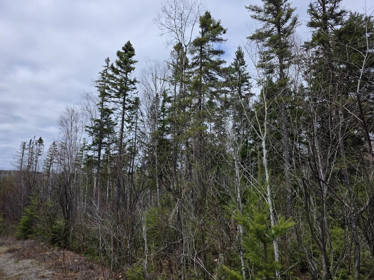 M31-4A Off Gendreau Road Madawaska ME 04756
