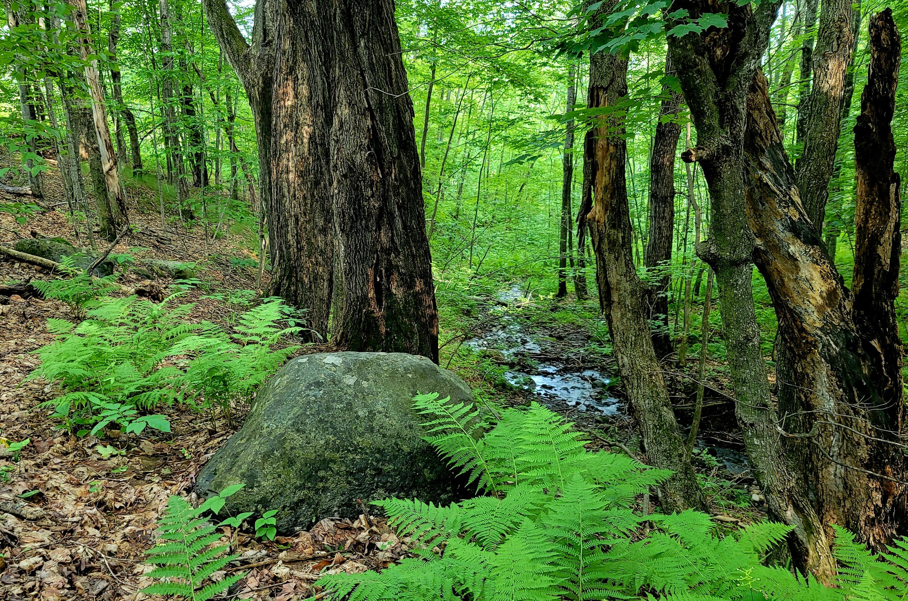 MAP34 Lot4 Orchard Drive Wilton ME 04294