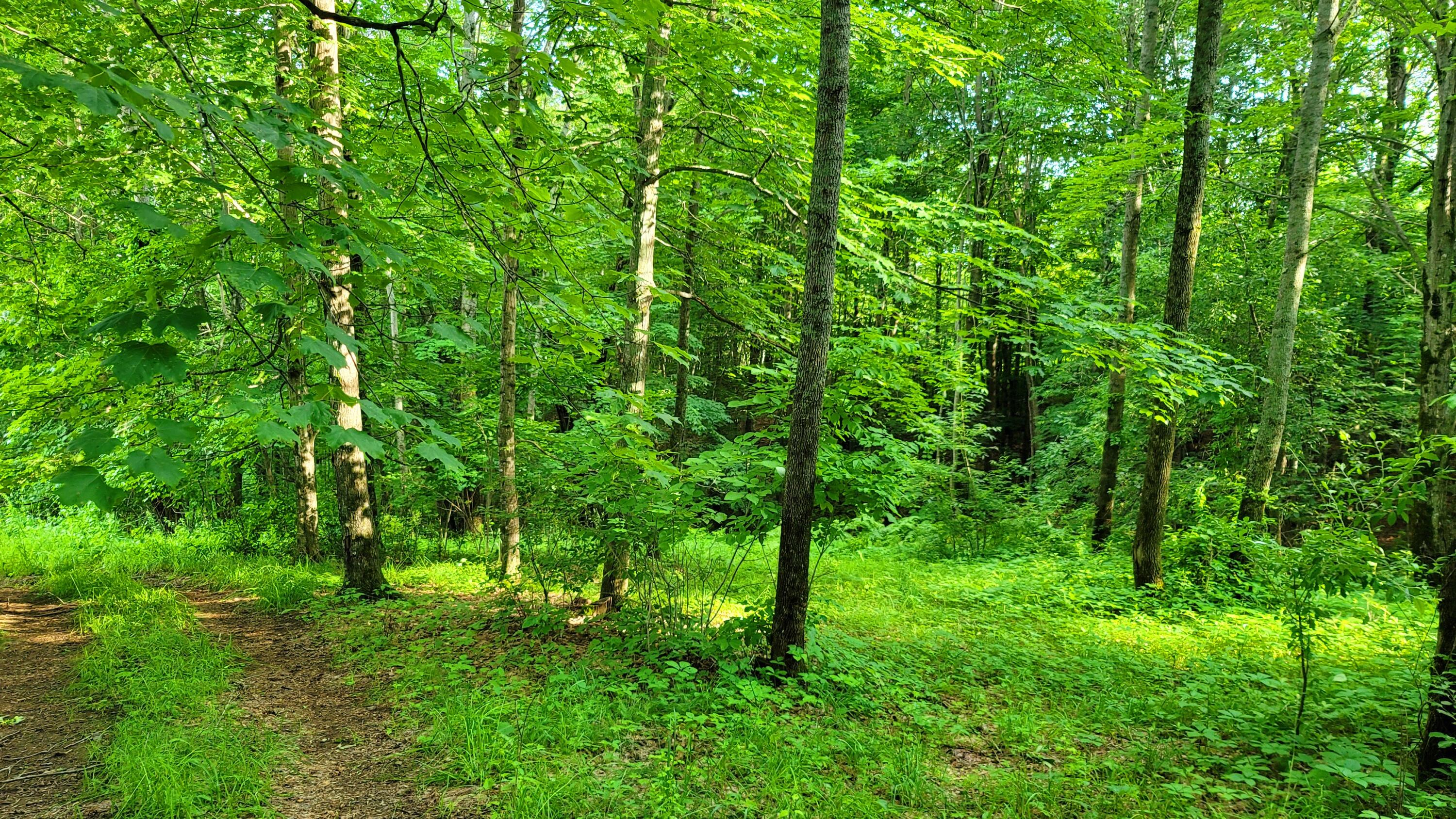 MAP34 Lot4 Orchard Drive Wilton ME 04294