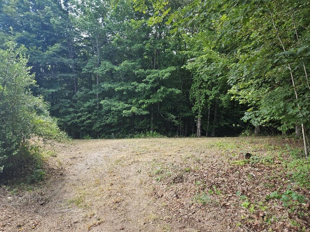 MAP34 Lot4 Orchard Drive Wilton ME 04294