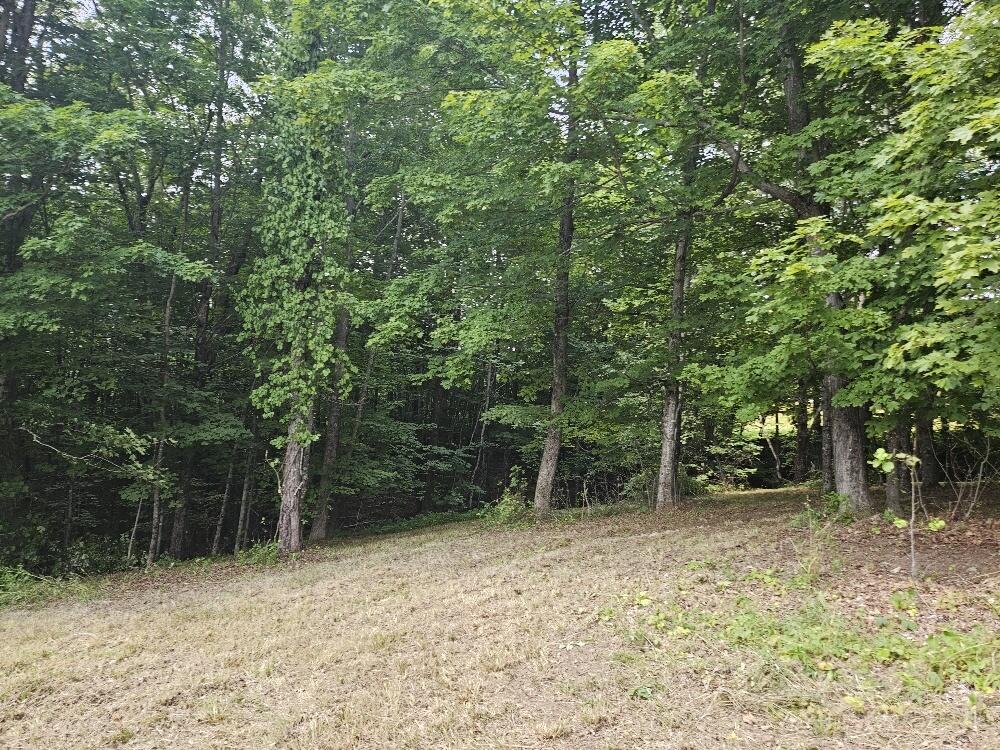 MAP34 Lot4 Orchard Drive Wilton ME 04294