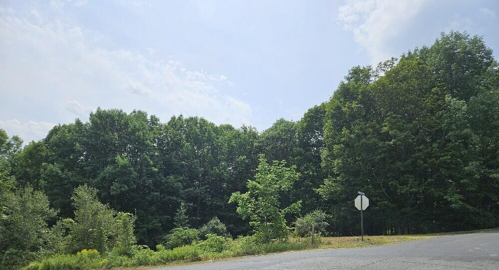 MAP34 Lot4 Orchard Drive Wilton ME 04294