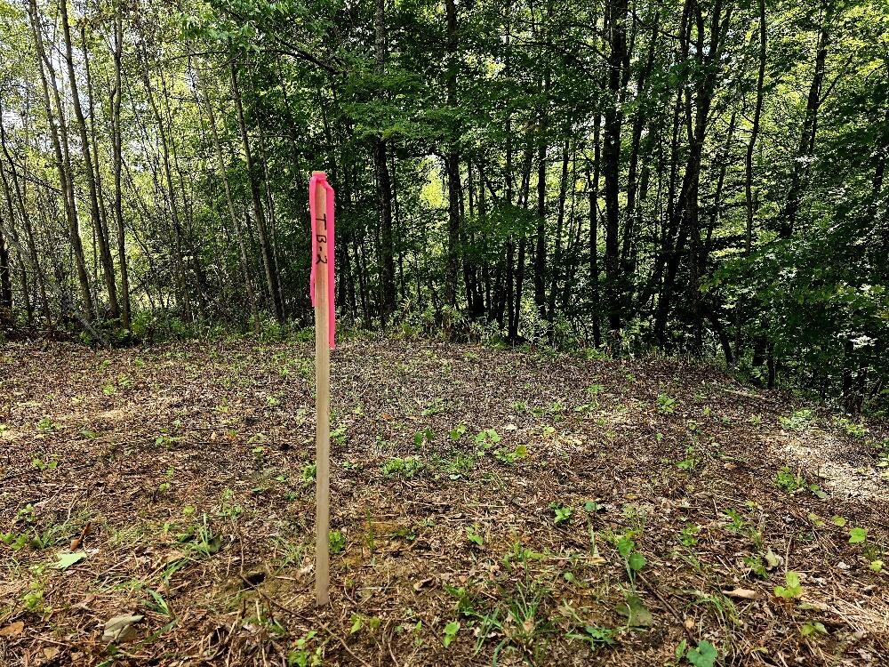 MAP34 Lot4 Orchard Drive Wilton ME 04294