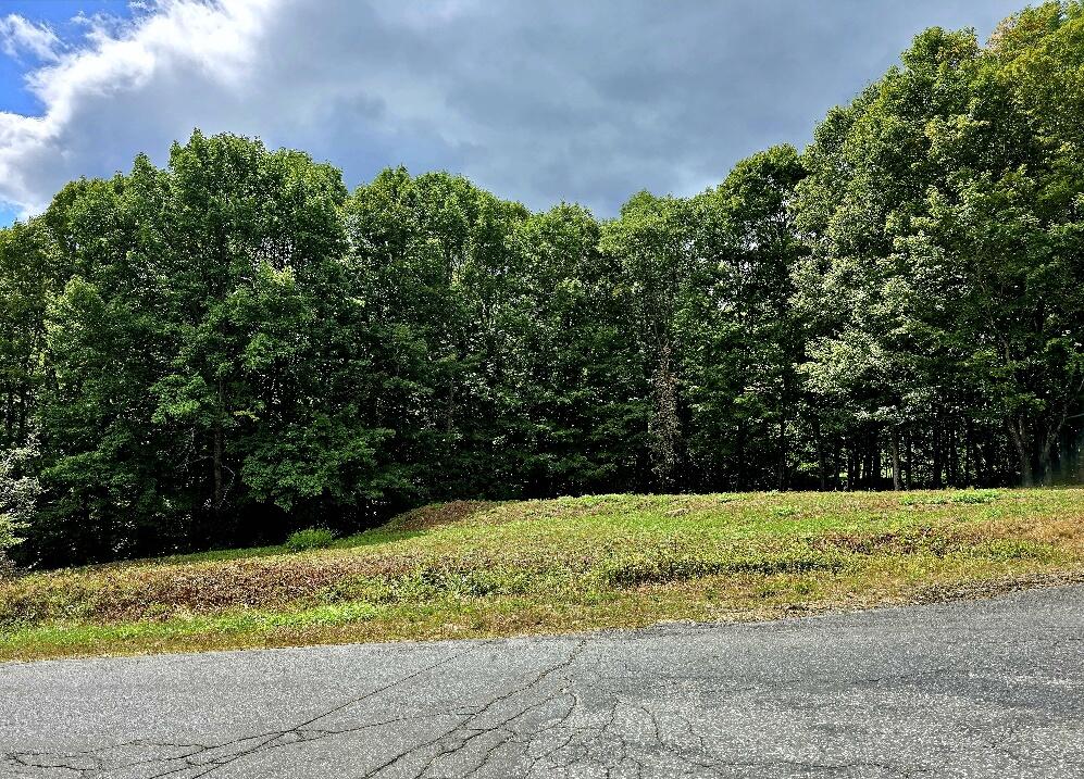 MAP34 Lot4 Orchard Drive Wilton ME 04294