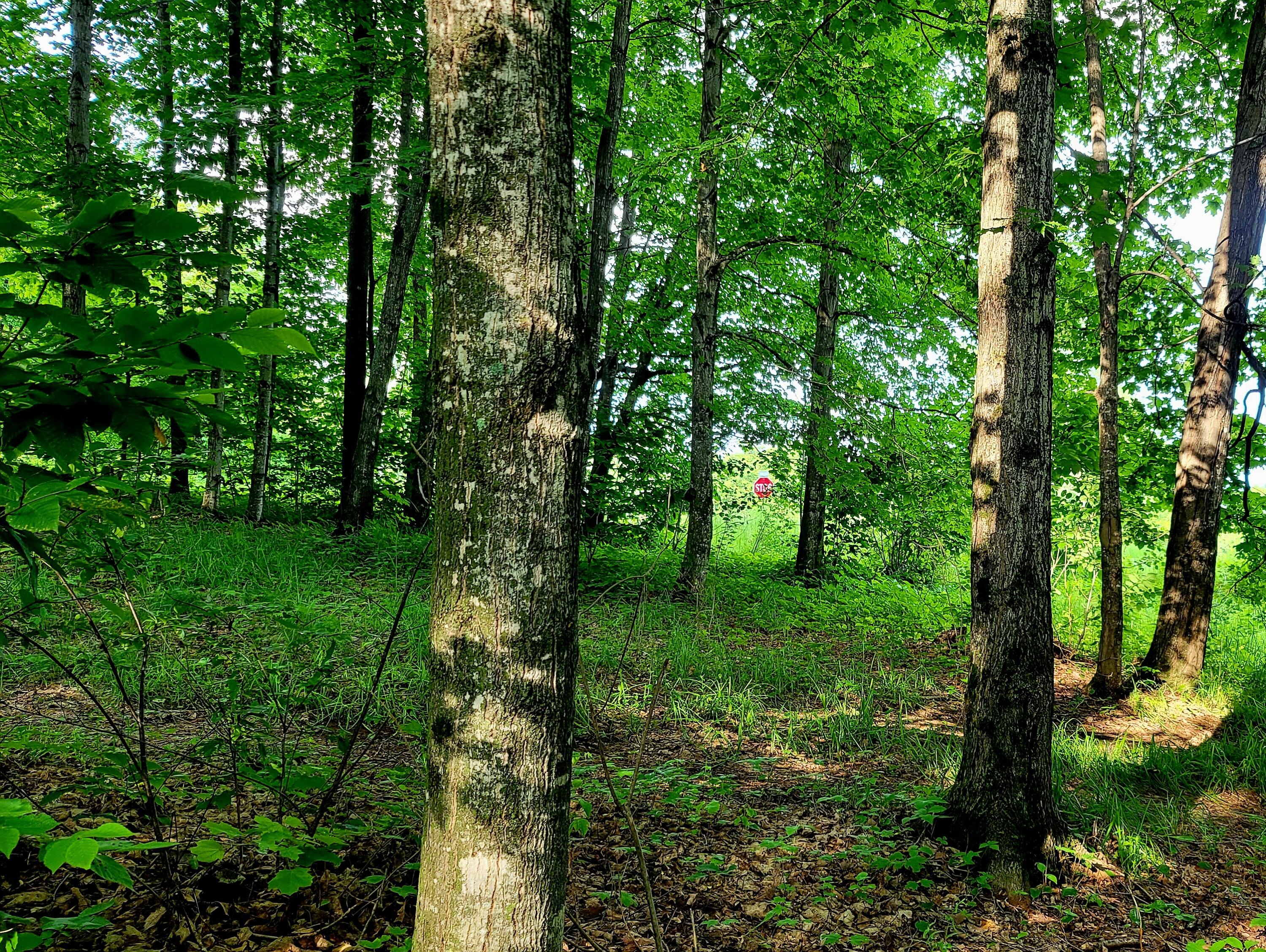 MAP34 Lot4 Orchard Drive Wilton ME 04294