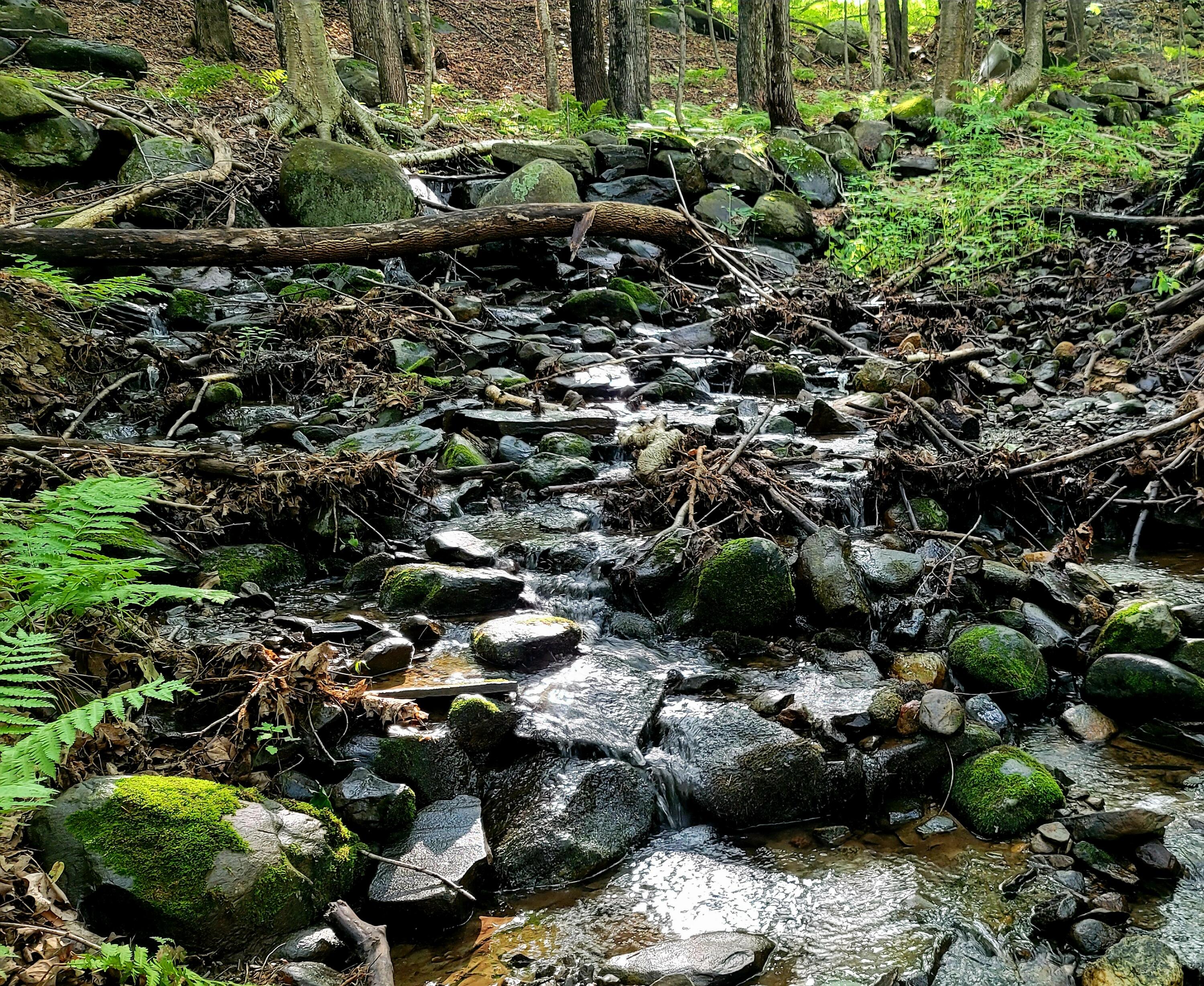 MAP34 Lot4 Orchard Drive Wilton ME 04294