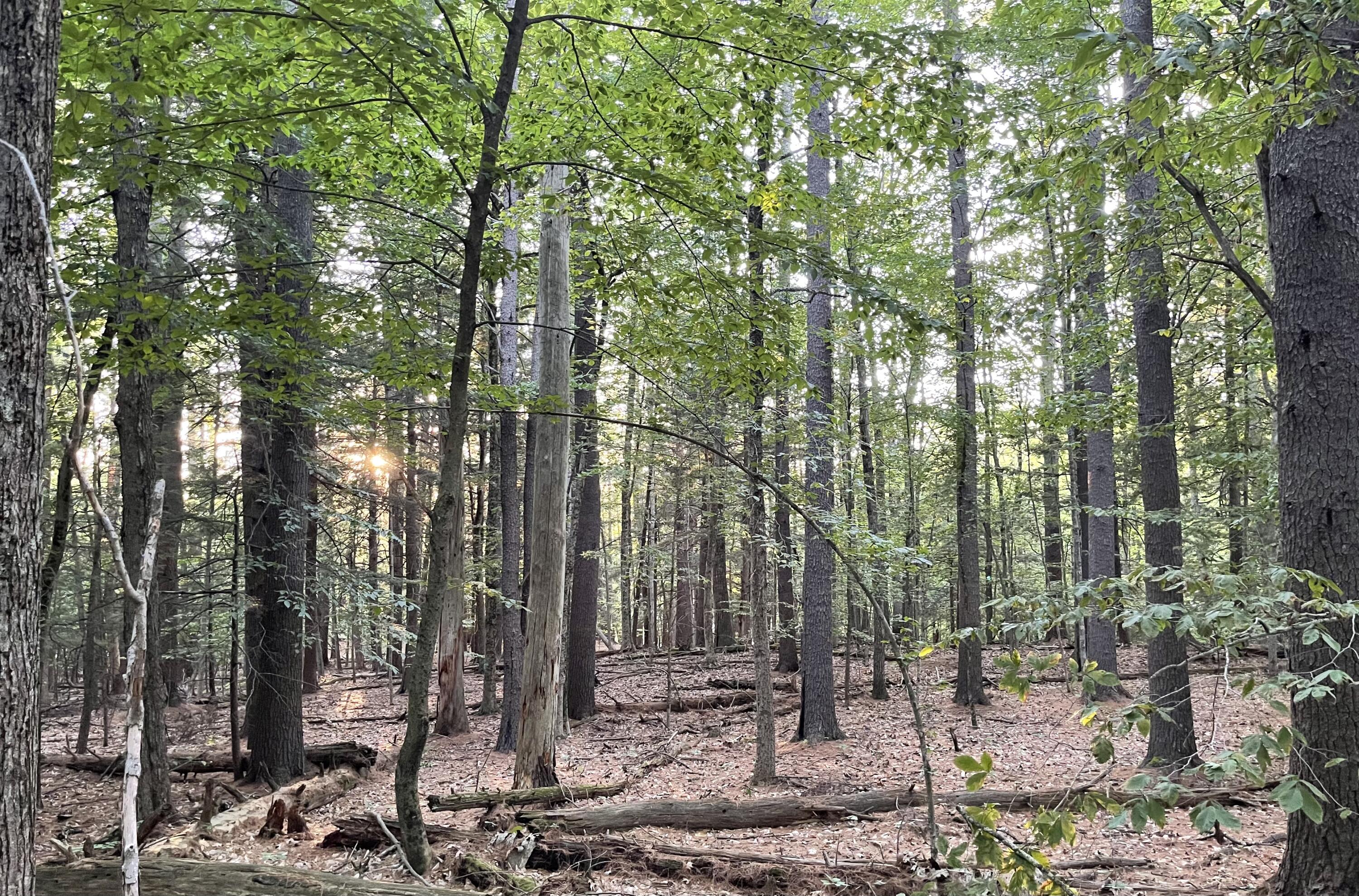 166a Highland Cliff Road Road Windham ME 04062