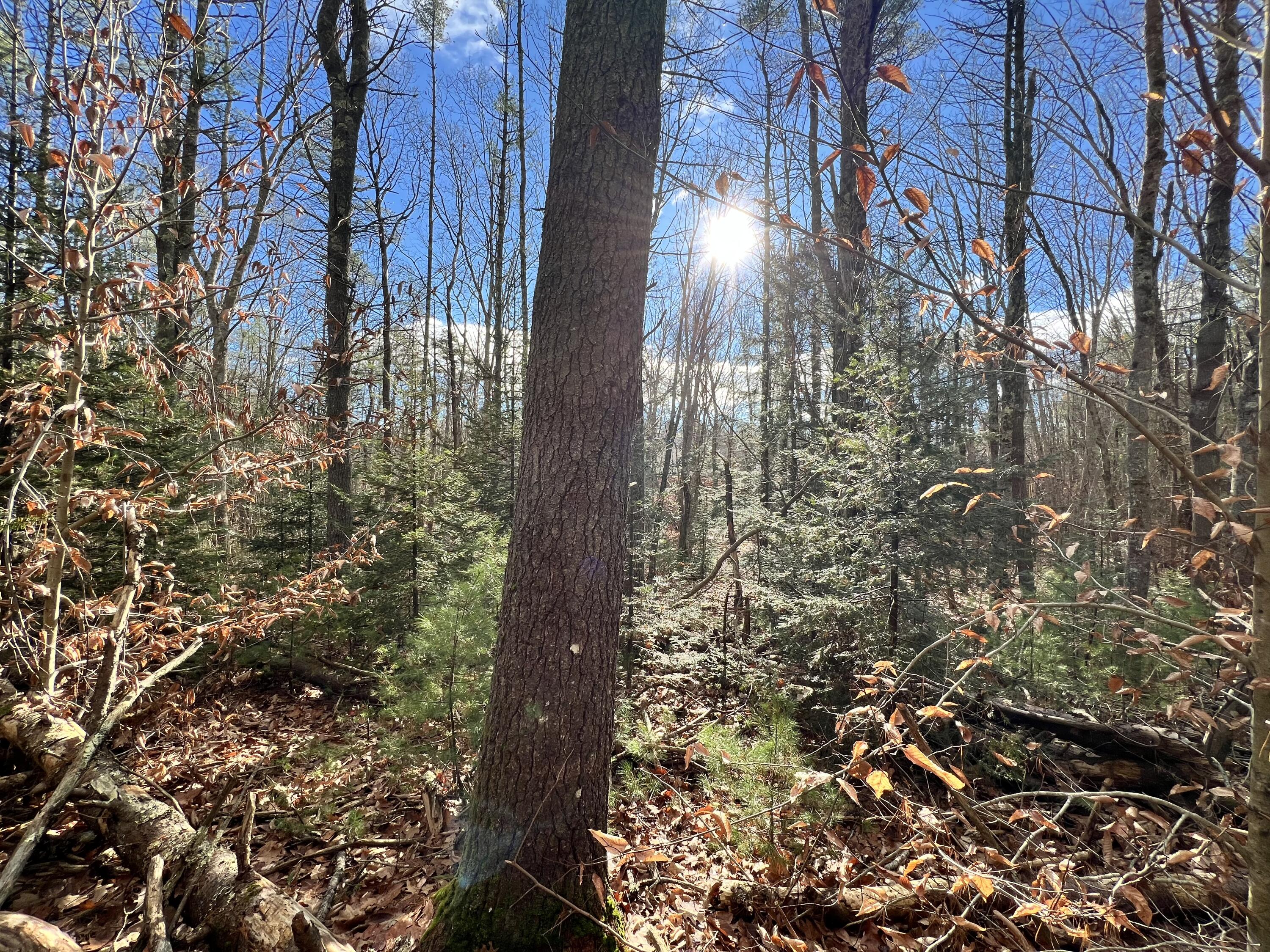 Lot 2 Briar Rose Lane Freeport ME 04032