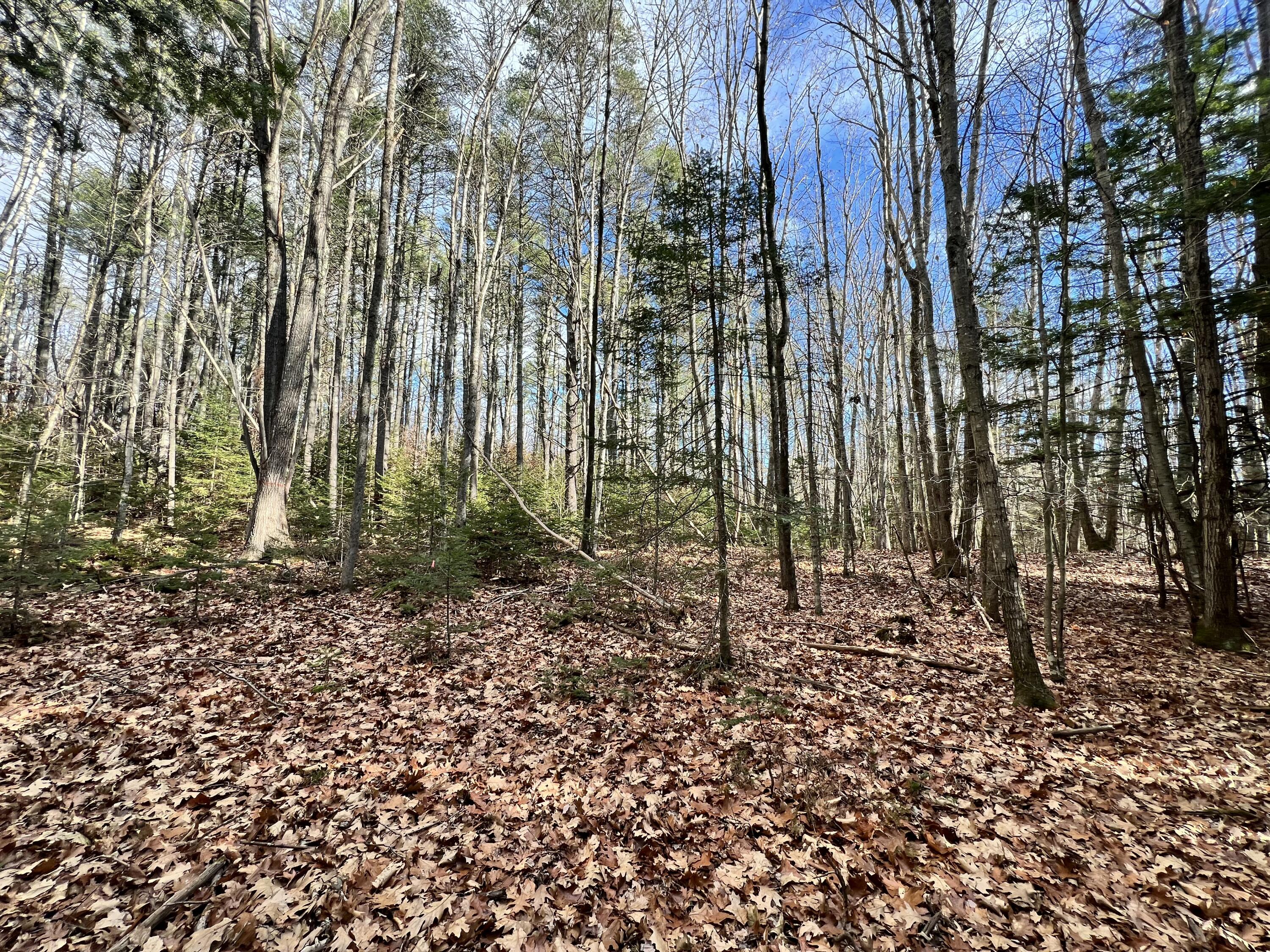 Lot 2 Briar Rose Lane Freeport ME 04032