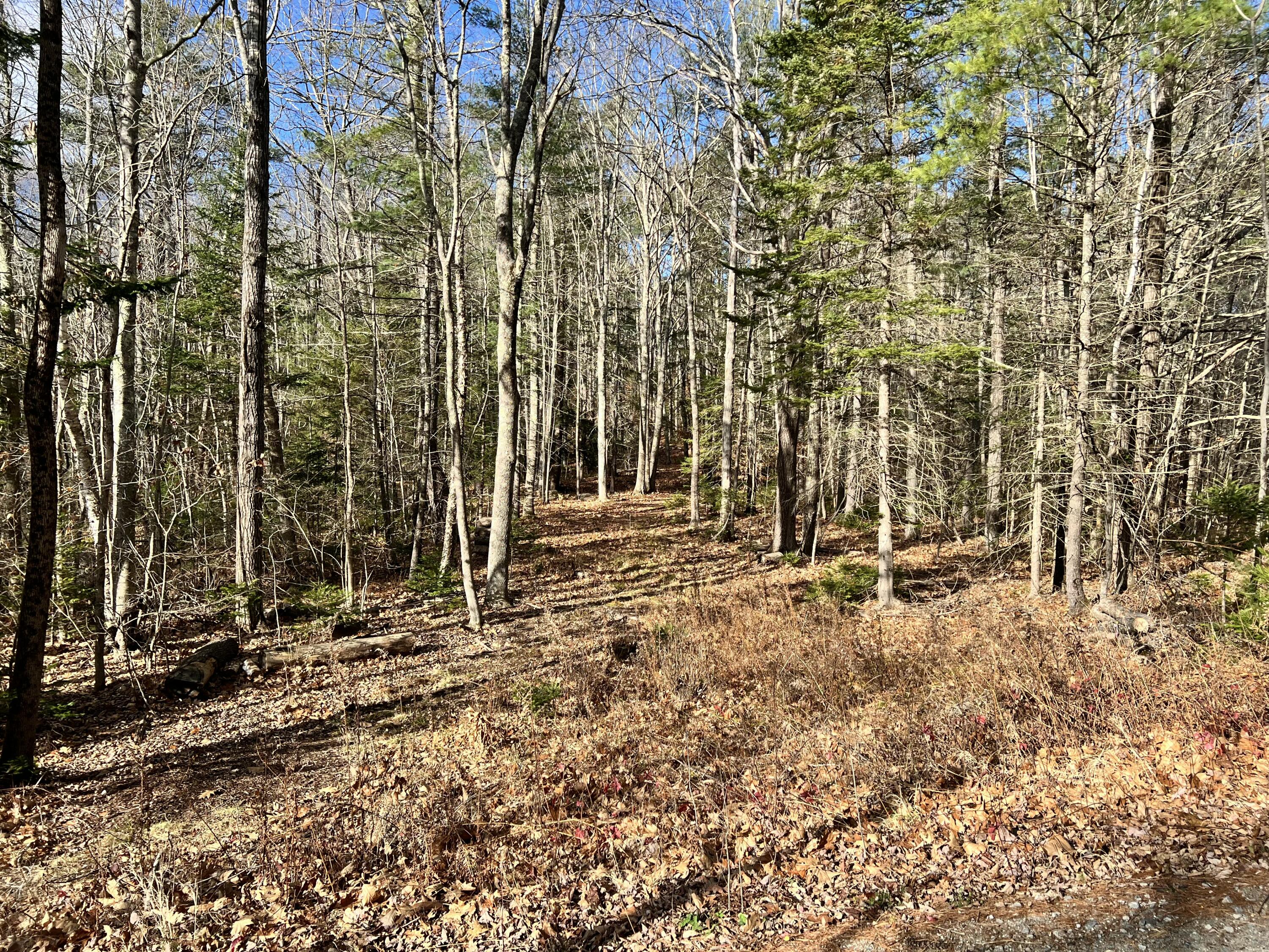 Lot 2 Briar Rose Lane Freeport ME 04032