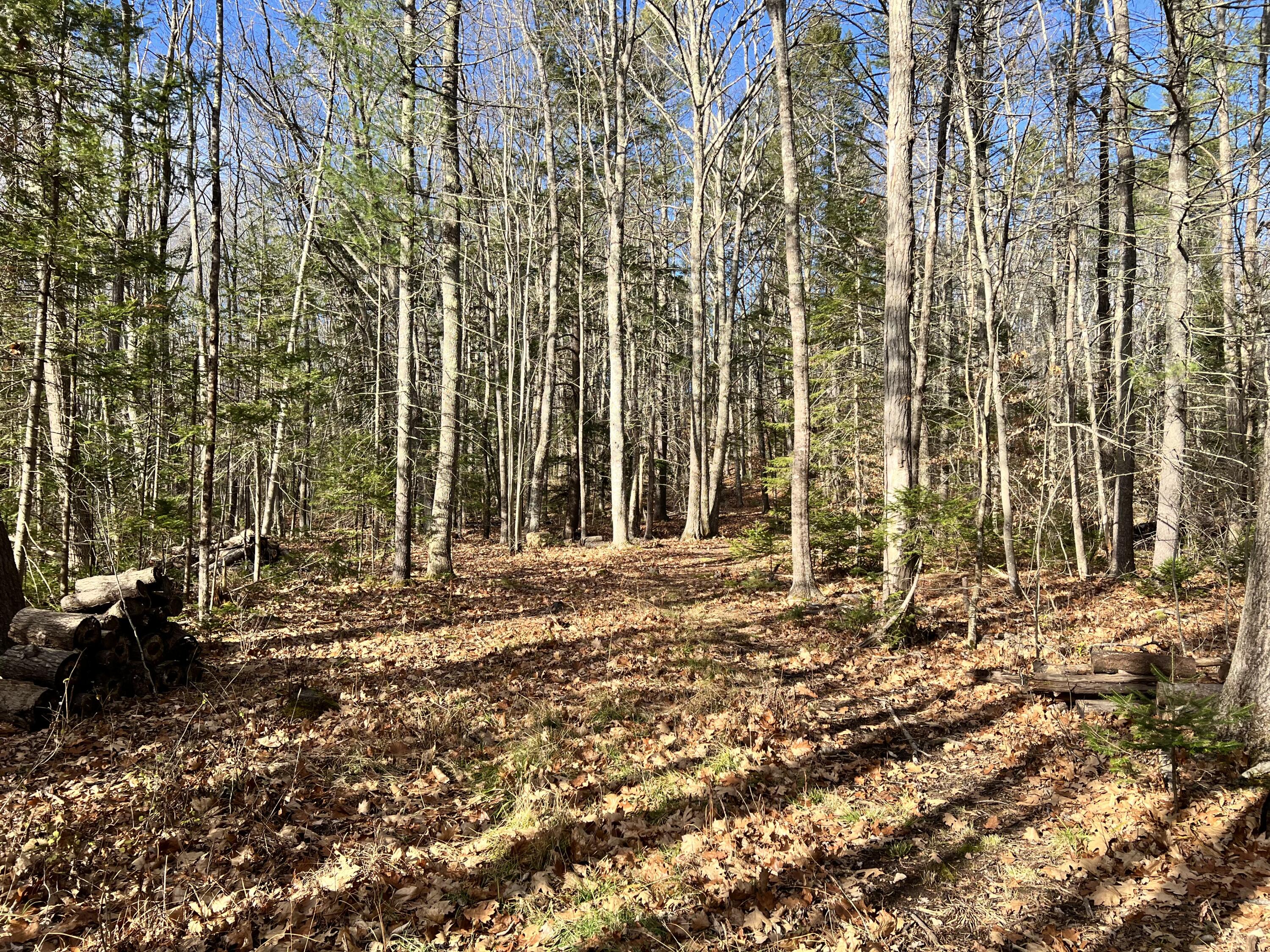 Lot 2 Briar Rose Lane Freeport ME 04032