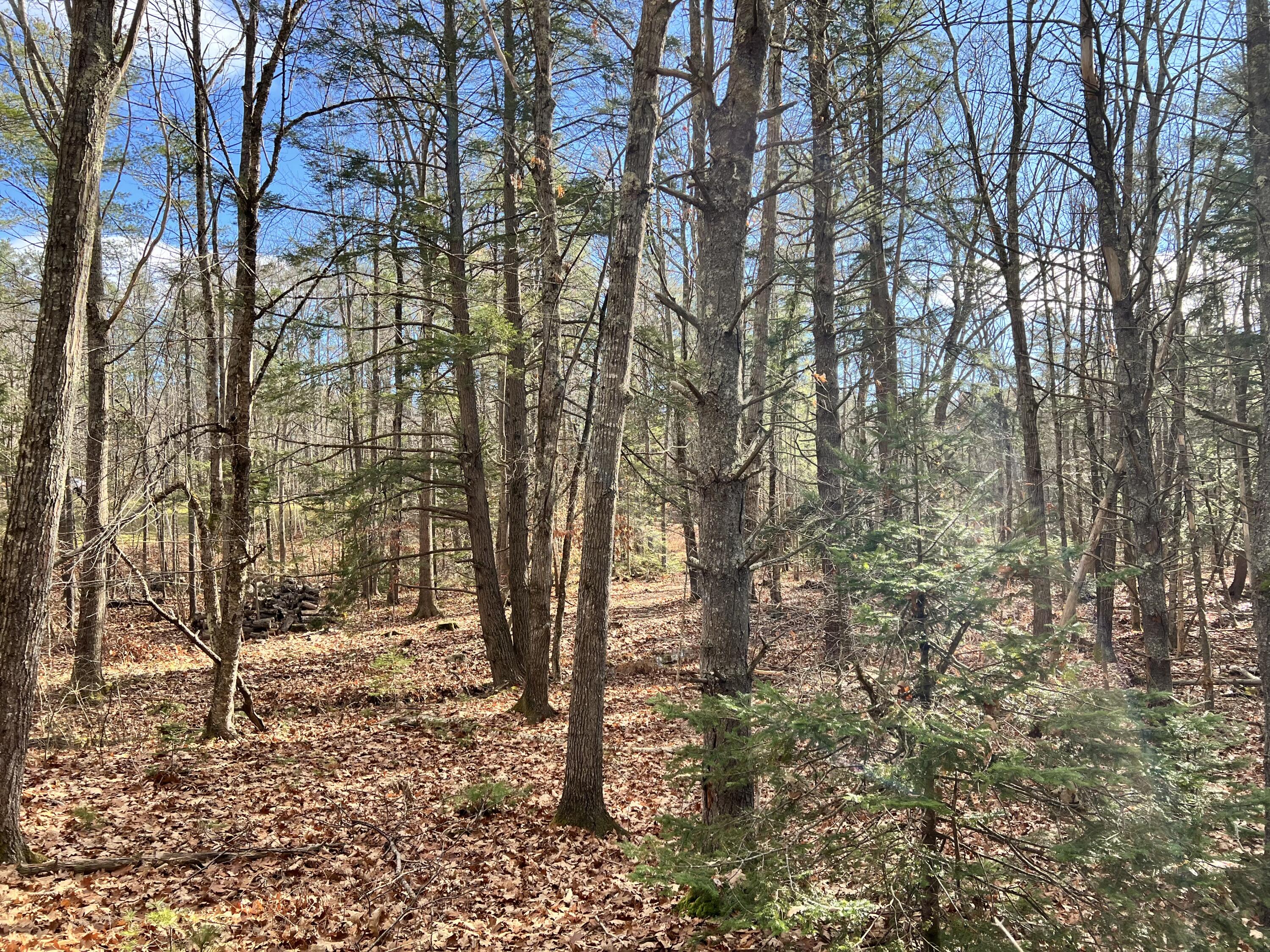 Lot 2 Briar Rose Lane Freeport ME 04032