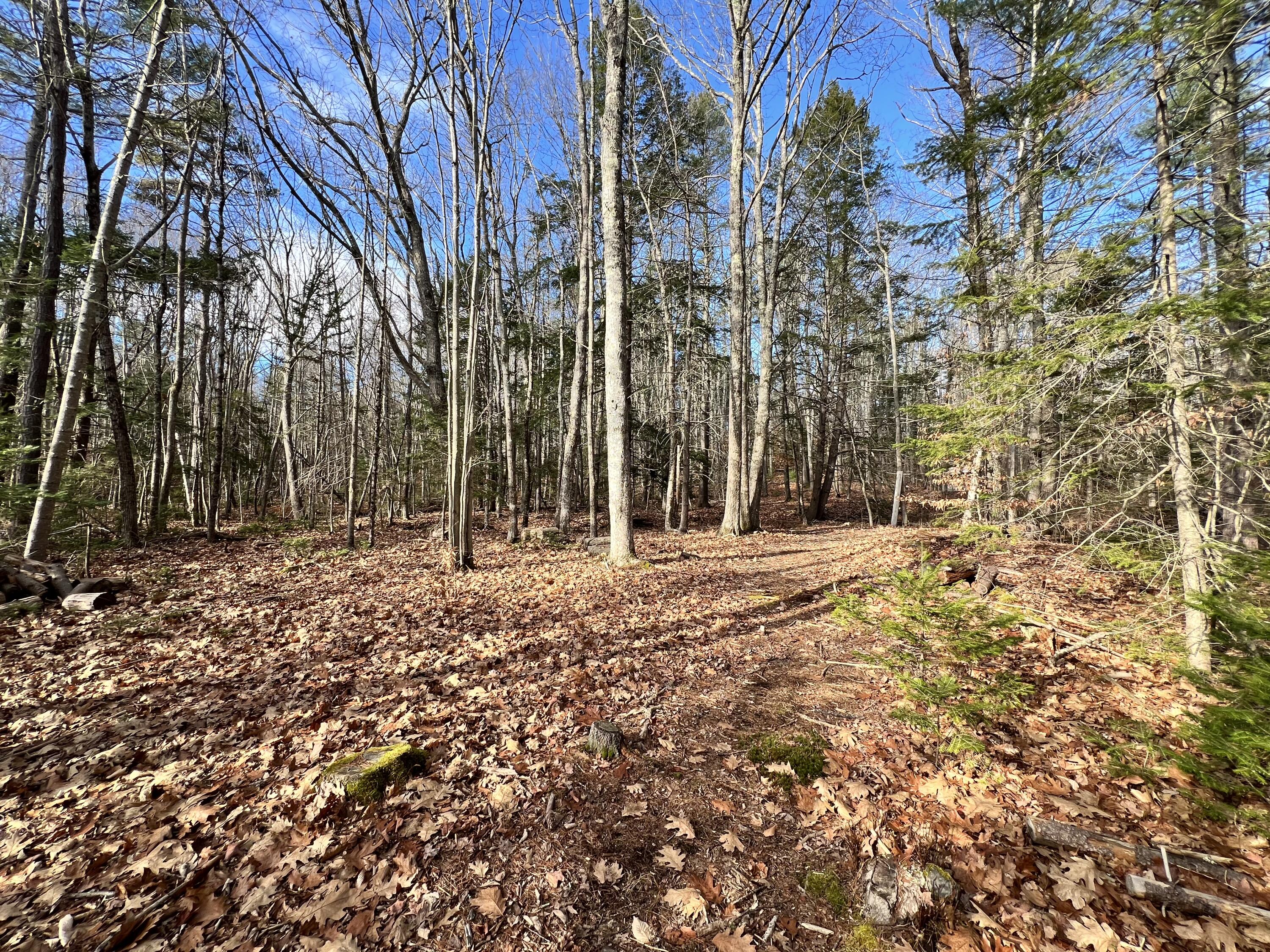 Lot 2 Briar Rose Lane Freeport ME 04032