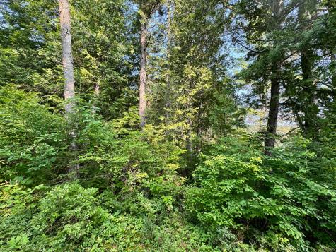 286 Abbee Pond Road Brownville ME 04414