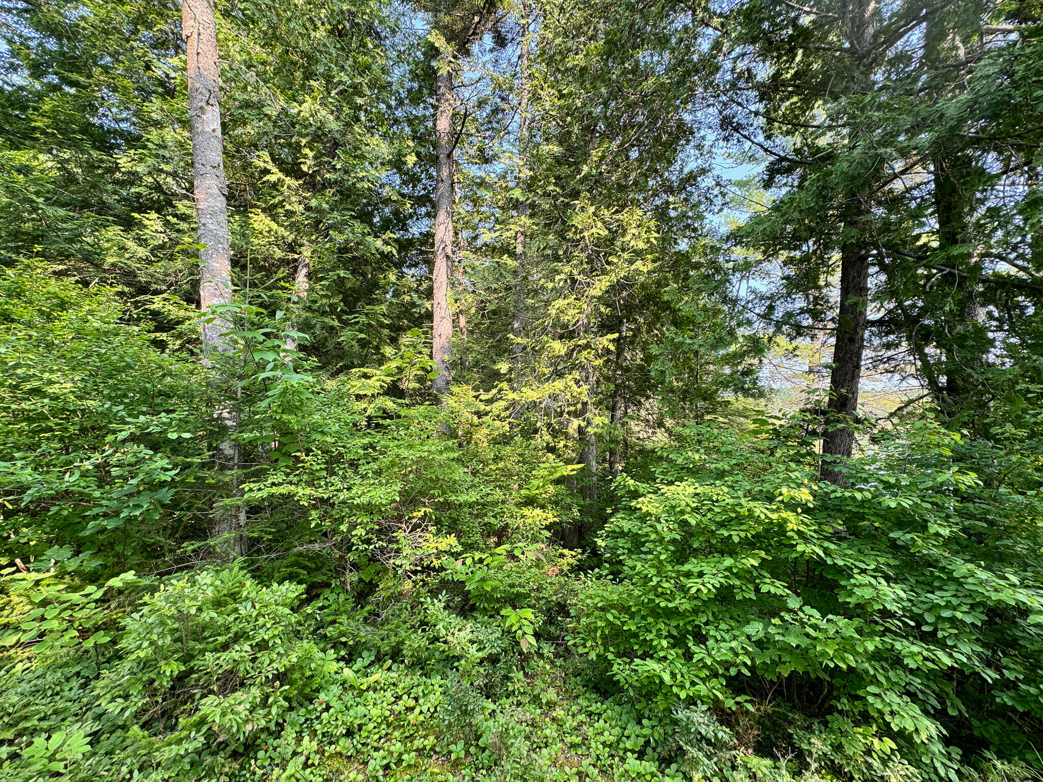 286 Abbee Pond Road Brownville ME 04414