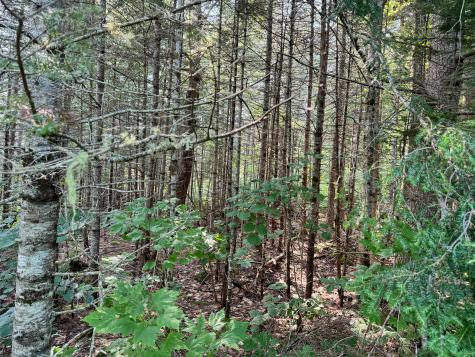 286 Abbee Pond Road Brownville ME 04414