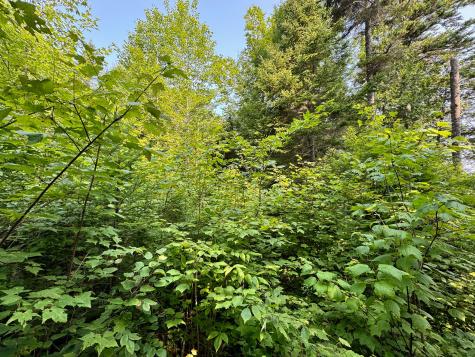 286 Abbee Pond Road Brownville ME 04414