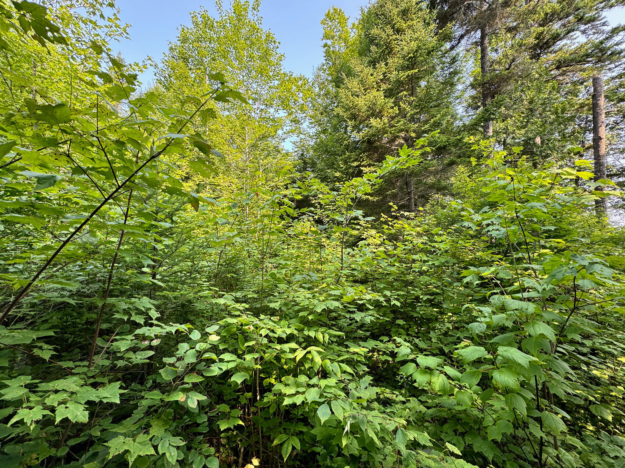 286 Abbee Pond Road Brownville ME 04414