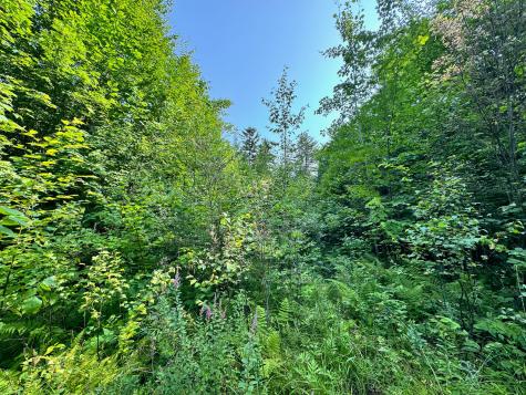 286 Abbee Pond Road Brownville ME 04414