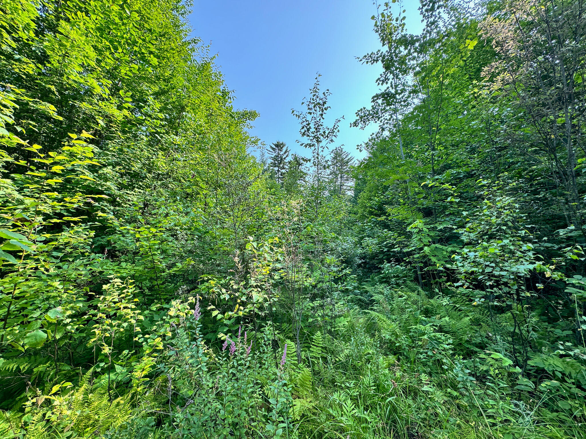 286 Abbee Pond Road Brownville ME 04414