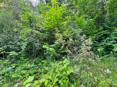 286 Abbee Pond Road Brownville ME 04414