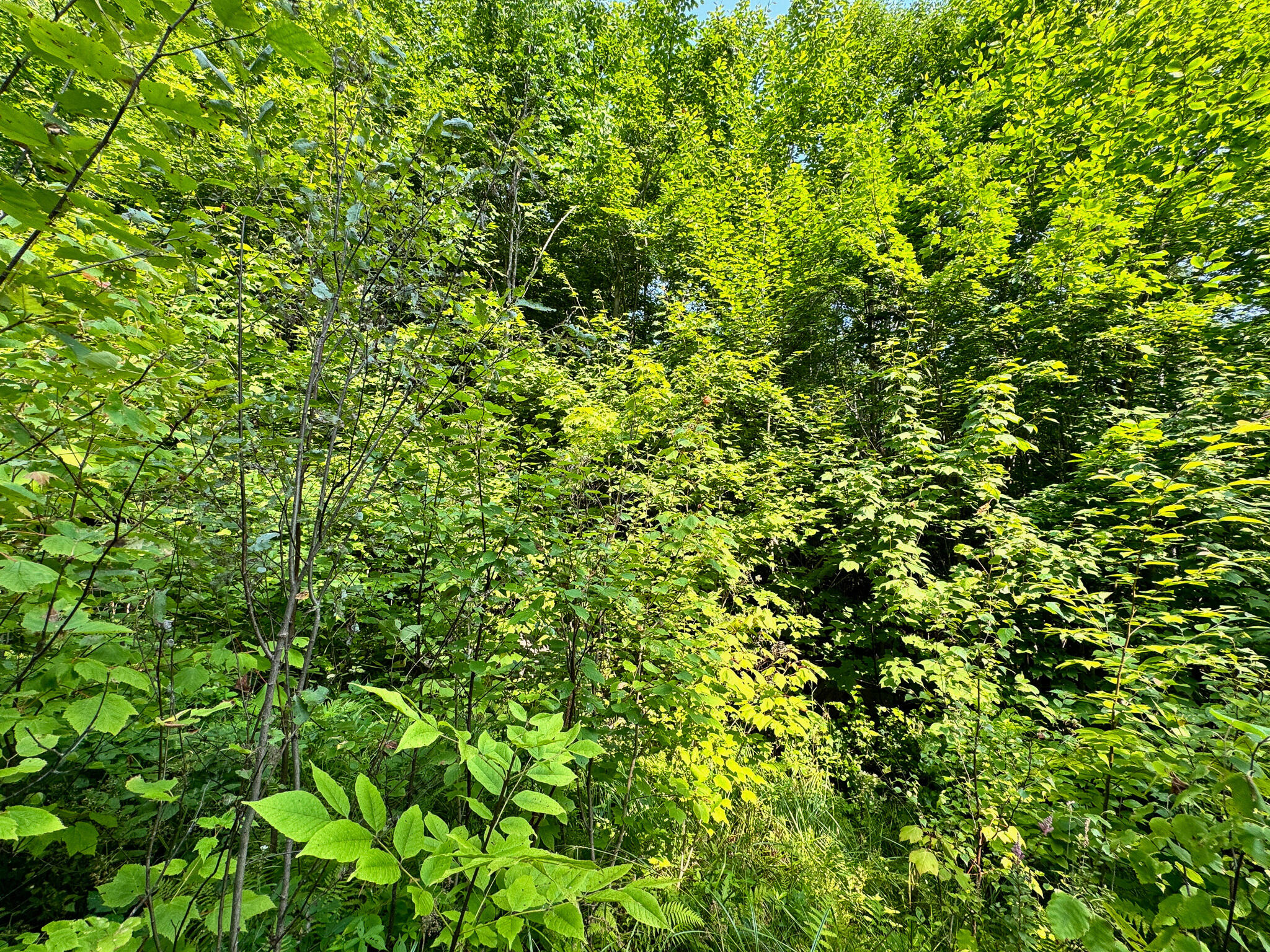 286 Abbee Pond Road Brownville ME 04414