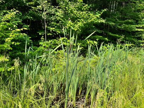 286 Abbee Pond Road Brownville ME 04414