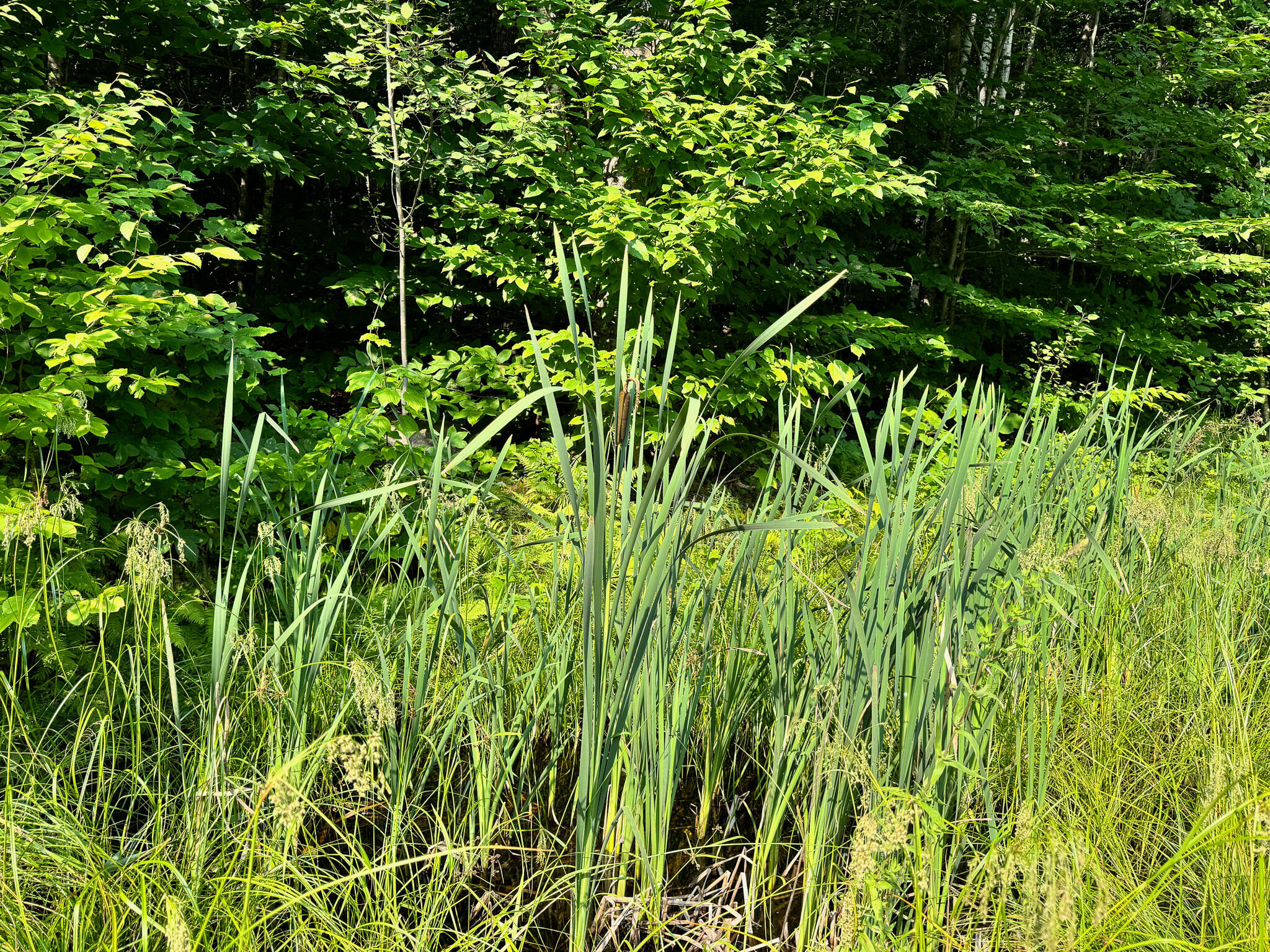 286 Abbee Pond Road Brownville ME 04414