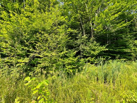 286 Abbee Pond Road Brownville ME 04414