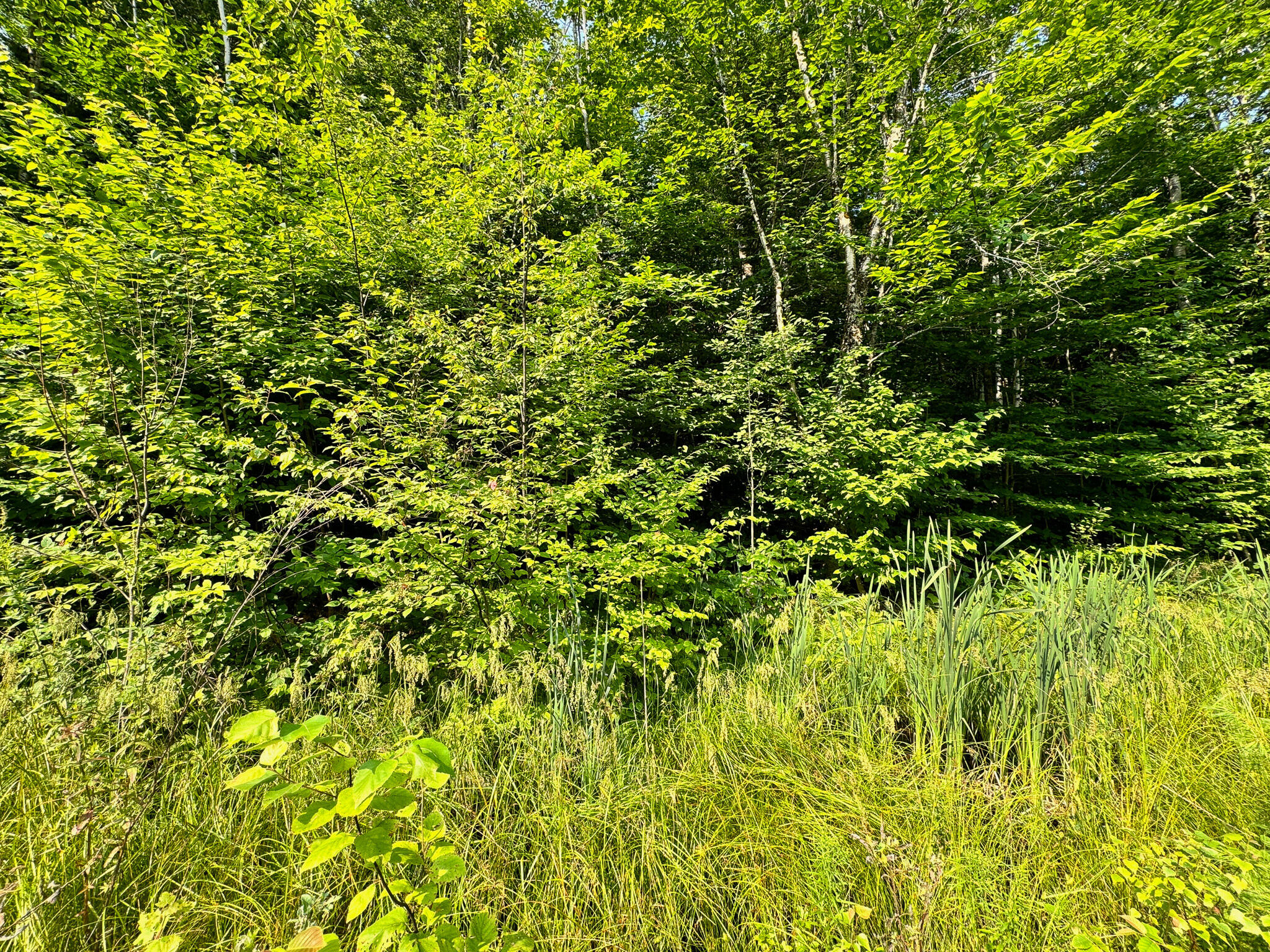 286 Abbee Pond Road Brownville ME 04414