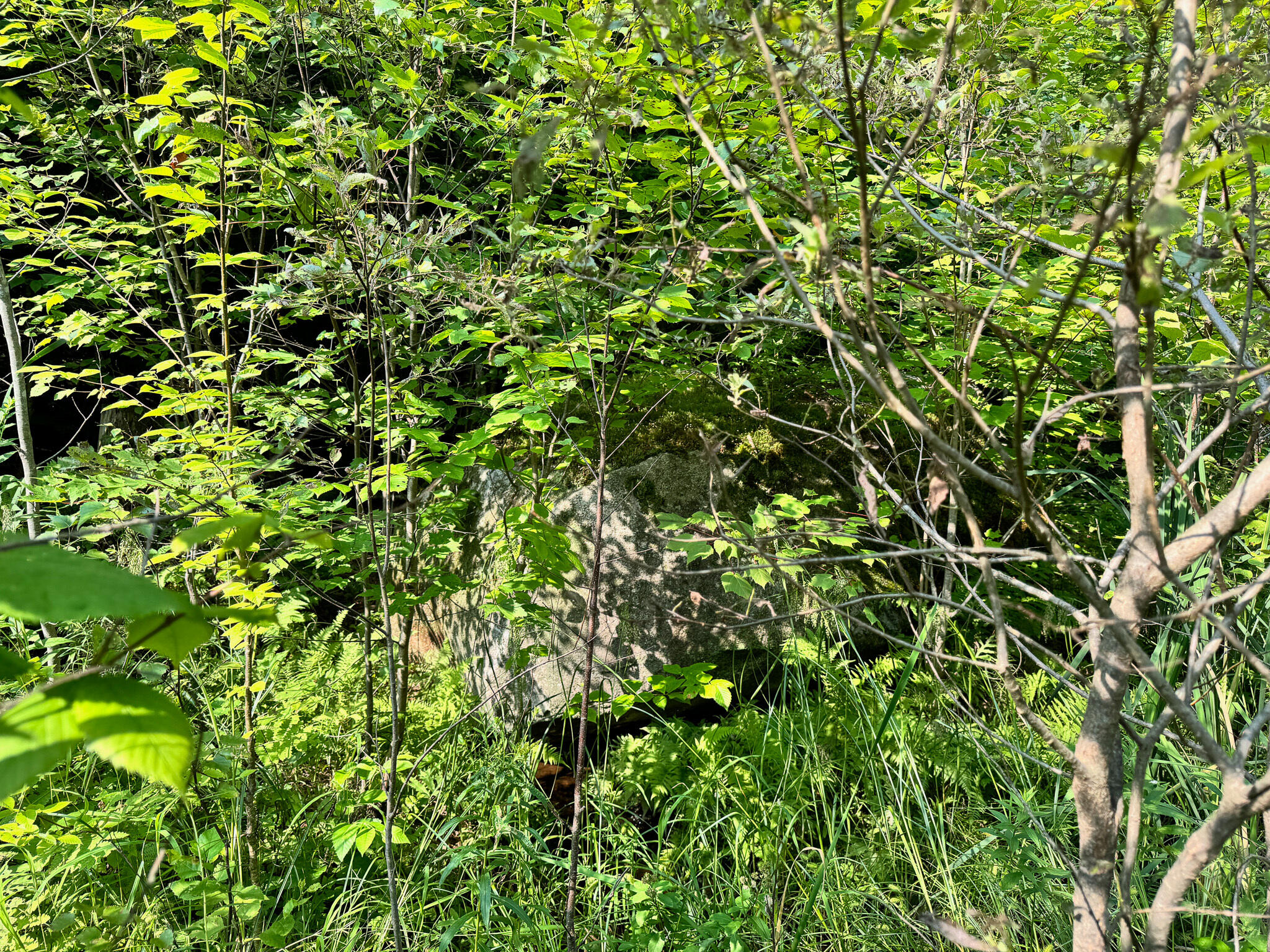 286 Abbee Pond Road Brownville ME 04414