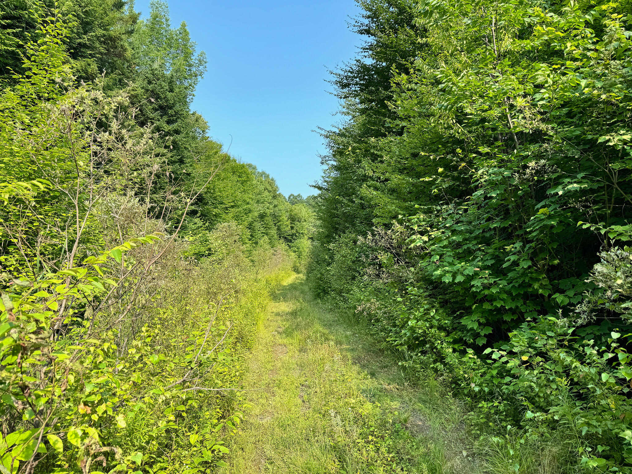 286 Abbee Pond Road Brownville ME 04414