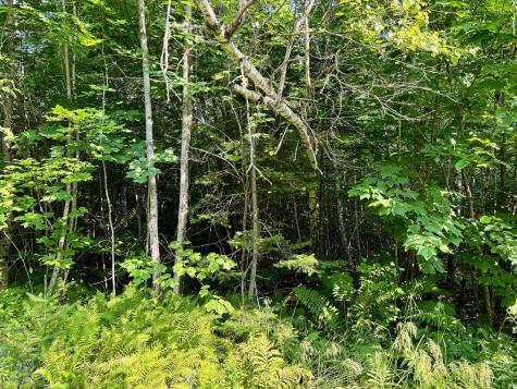 286 Abbee Pond Road Brownville ME 04414