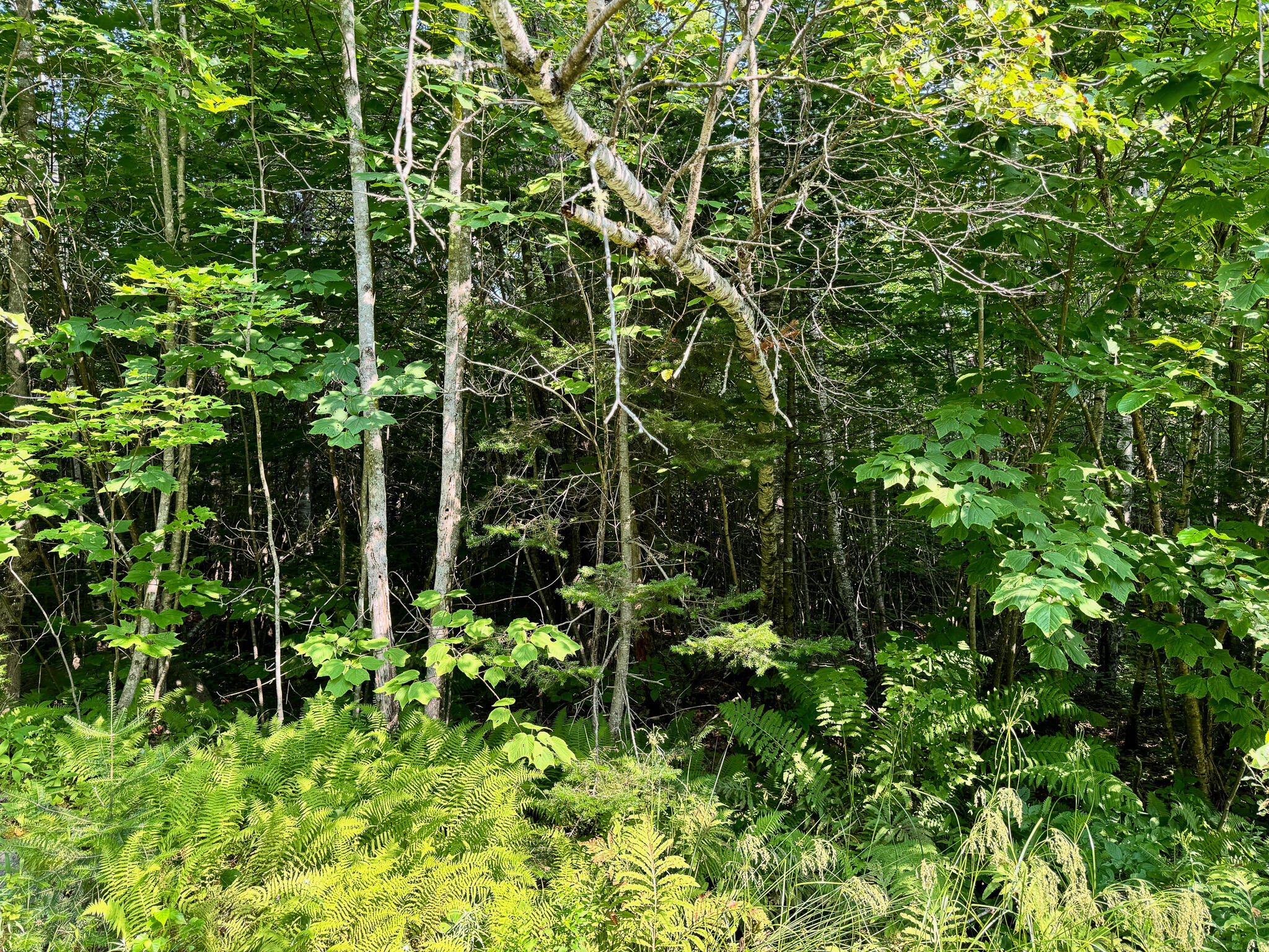 286 Abbee Pond Road Brownville ME 04414