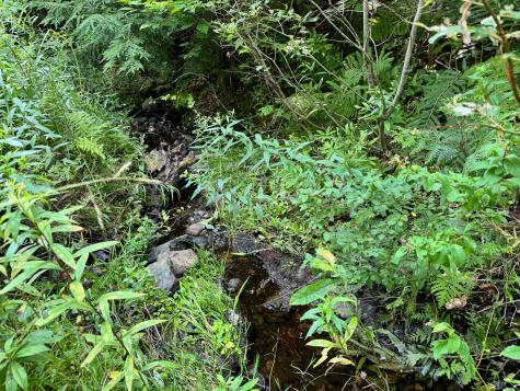 286 Abbee Pond Road Brownville ME 04414