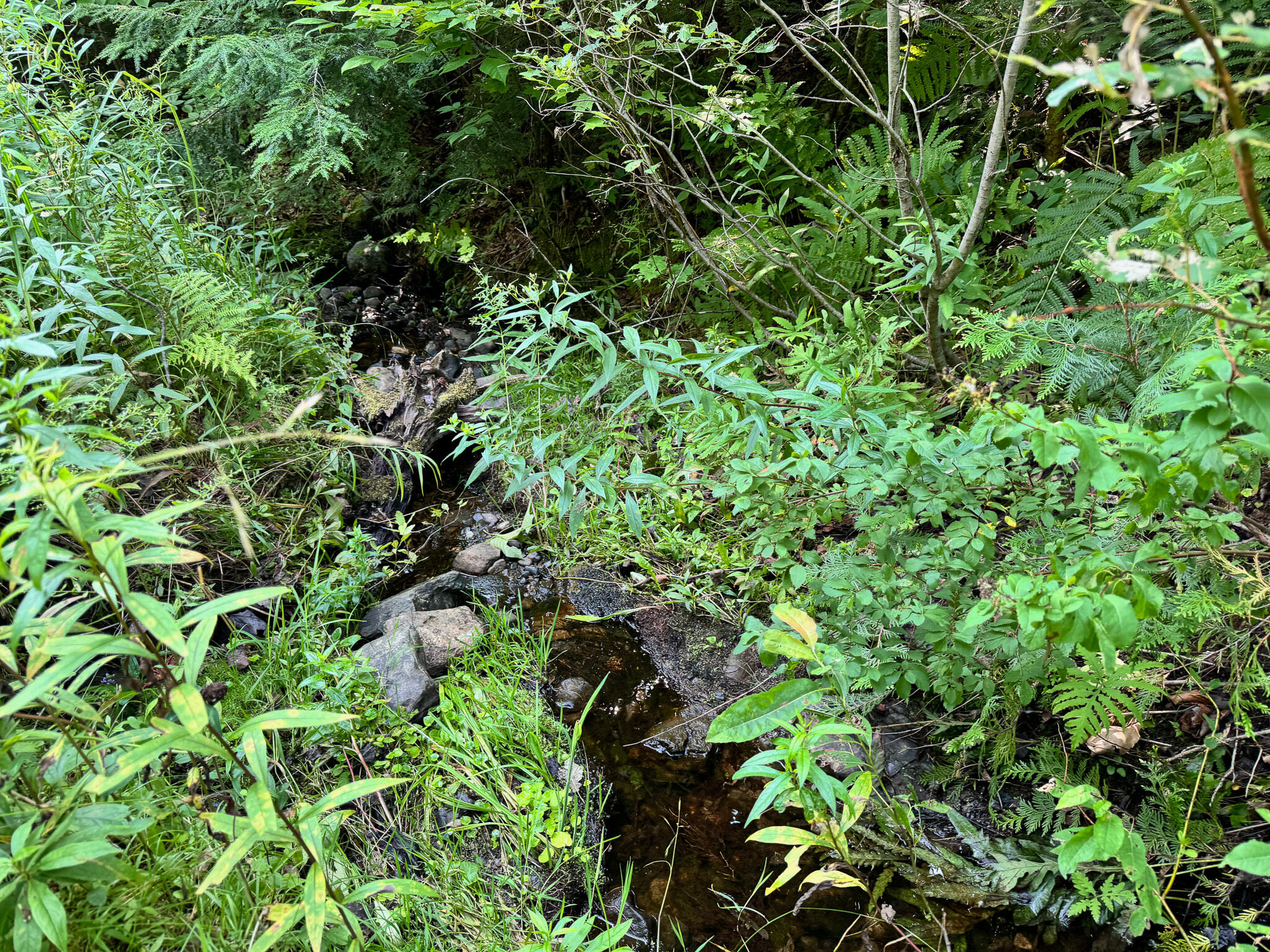 286 Abbee Pond Road Brownville ME 04414