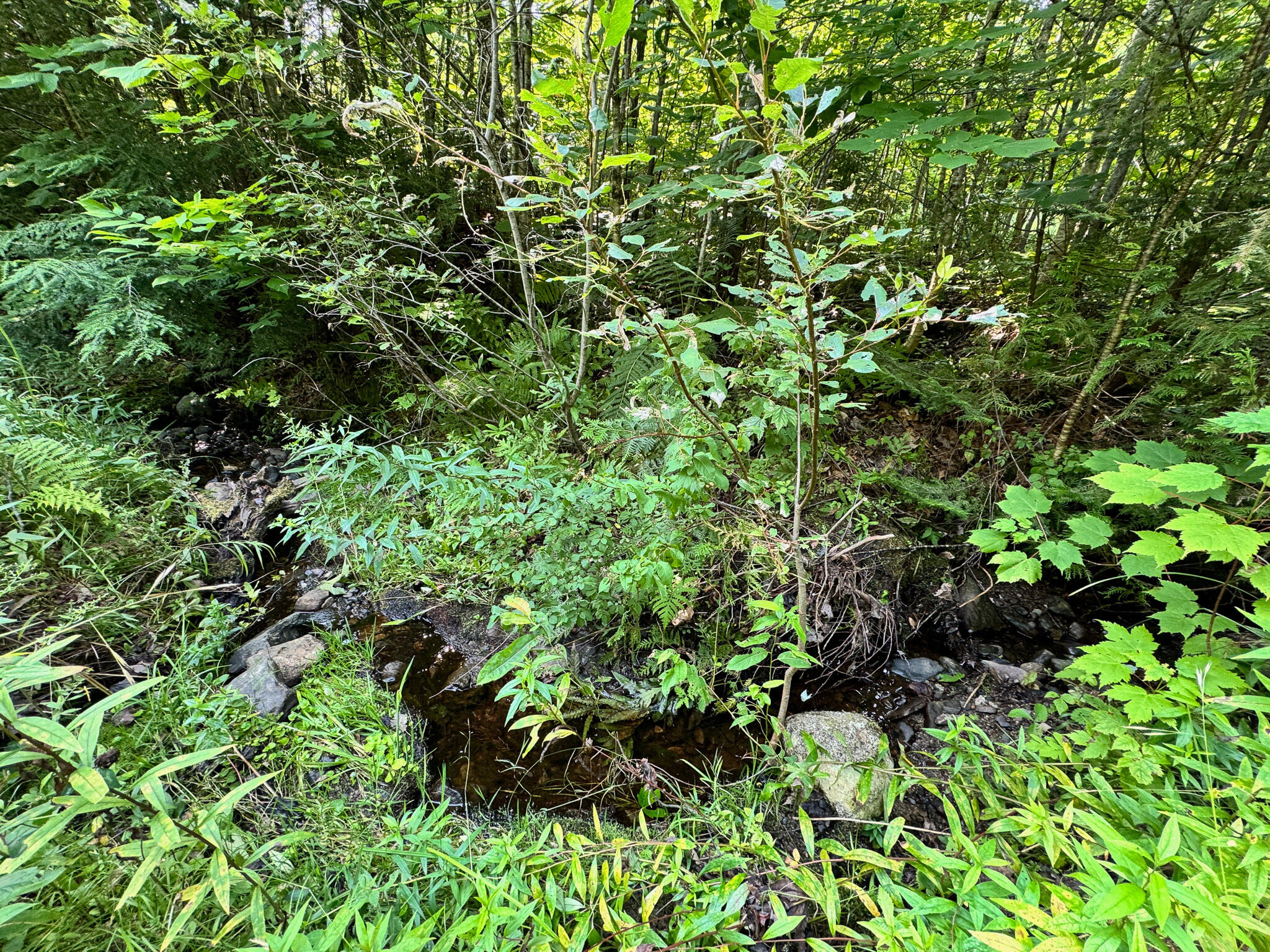 286 Abbee Pond Road Brownville ME 04414